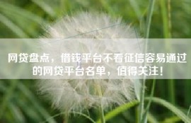 网贷盘点，借钱平台不看征信容易通过的网贷平台名单，值得关注！
