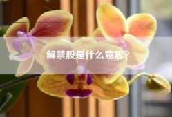 解禁股是什么意思？