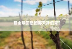 基金赎回是按哪天净值算？