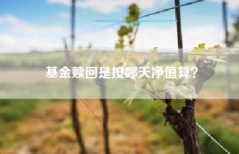基金赎回是按哪天净值算？
