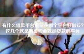 有什么借款平台是现在哪个平台好借钱？这几个就是有公积金就能贷款的平台