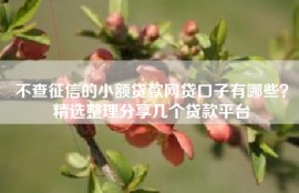 不查征信的小额贷款网贷口子有哪些？精选整理分享几个贷款平台