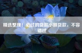 精选整理！必过的贷款小额贷款，不容错过