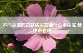 不同类型的贷款买房需要什么手续呢 赶快来看吧