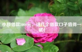 小额借款1000元，这几个借款口子值得一试！