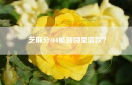 芝麻分400能到哪里借款？