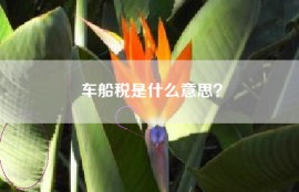 车船税是什么意思？