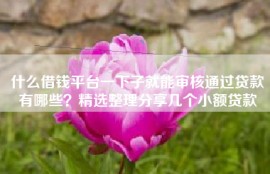 什么借钱平台一下子就能审核通过贷款有哪些？精选整理分享几个小额贷款