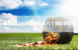 哪里可以小额借钱，这几个借款软件值得一试！