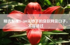 精选整理！500元秒下的贷款网贷口子，不容错过
