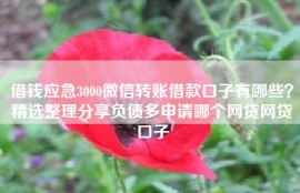 借钱应急3000微信转账借款口子有哪些？精选整理分享负债多申请哪个网贷网贷口子