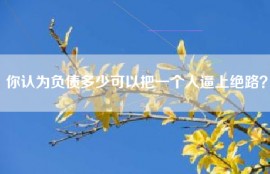 你认为负债多少可以把一个人逼上绝路？