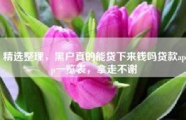 精选整理，黑户真的能贷下来钱吗贷款app一览表，拿走不谢