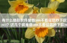 有什么借款软件是借5000不看征信秒下款2022？这几个就是借5000不看征信秒下款2022