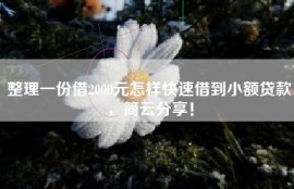 整理一份借2000元怎样快速借到小额贷款，简云分享！