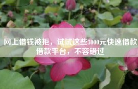 网上借钱被拒，试试这些3000元快速借款借款平台，不容错过