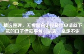 精选整理，无视黑白无视征信申请就下款的口子借款平台一览表，拿走不谢