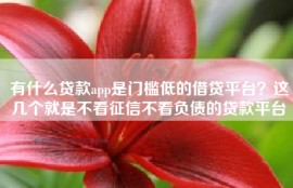 有什么贷款app是门槛低的借贷平台？这几个就是不看征信不看负债的贷款平台