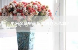 小米金融里面贷款利息怎么算？