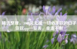 精选整理，3000元无视一切必下款的口子贷款app一览表，拿走不谢