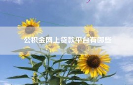 公积金网上贷款平台有哪些