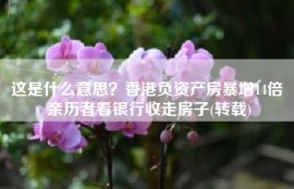 这是什么意思？香港负资产房暴增14倍 亲历者看银行收走房子(转载)