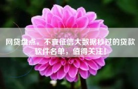 网贷盘点，不查征信大数据秒过的贷款软件名单，值得关注！