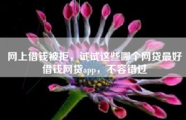 网上借钱被拒，试试这些哪个网贷最好借钱网贷app，不容错过