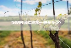 花呗的借款额度一般是多少？