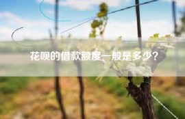 花呗的借款额度一般是多少？