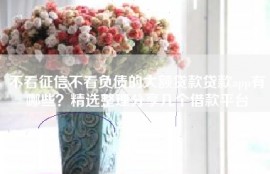 不看征信不看负债的大额贷款贷款app有哪些？精选整理分享几个借款平台