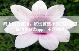网上借钱被拒，试试这些小额贷款哪里最可靠贷款app，不容错过