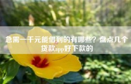 急需一千元能借到的有哪些？盘点几个贷款app好下款的
