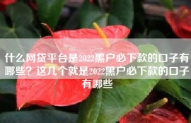 什么网贷平台是2022黑户必下款的口子有哪些？这几个就是2022黑户必下款的口子有哪些