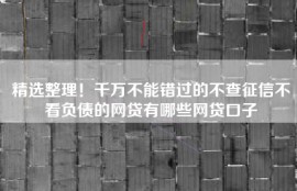 精选整理！千万不能错过的不查征信不看负债的网贷有哪些网贷口子