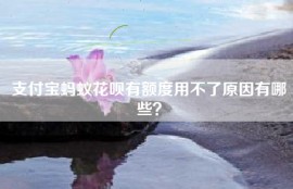 支付宝蚂蚁花呗有额度用不了原因有哪些？