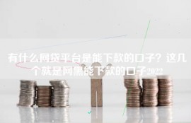 有什么网贷平台是能下款的口子？这几个就是网黑能下款的口子2022