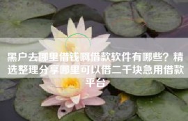 黑户去哪里借钱啊借款软件有哪些？精选整理分享哪里可以借二千块急用借款平台