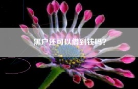 黑户还可以借到钱吗？