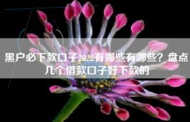 黑户必下款口子2022有哪些有哪些？盘点几个借款口子好下款的