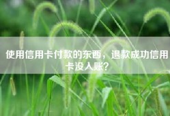 使用信用卡付款的东西，退款成功信用卡没入账？