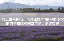 网上借钱被拒，试试这些2022黑户必下款的口子有哪些网贷口子，不容错过