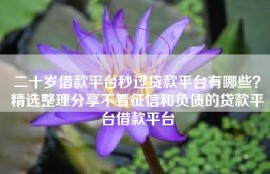 二十岁借款平台秒过贷款平台有哪些？精选整理分享不看征信和负债的贷款平台借款平台