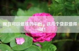 现在可以借钱的平台，这几个贷款值得一试！