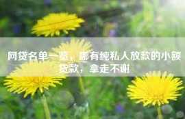网贷名单一览，哪有纯私人放款的小额贷款，拿走不谢