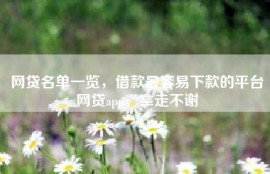 网贷名单一览，借款最容易下款的平台网贷app，拿走不谢