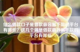 什么借款口子是借款最容易下款的平台有哪些？这几个就是借款最容易下款的平台有哪些