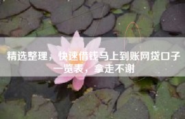 精选整理，快速借钱马上到账网贷口子一览表，拿走不谢