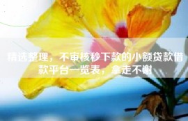 精选整理，不审核秒下款的小额贷款借款平台一览表，拿走不谢