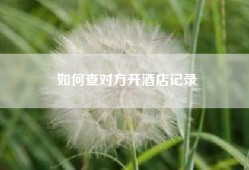 如何查对方开酒店记录